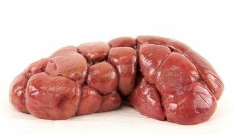 Beef Kidney (Per 1 LB) – Memon Supermarket