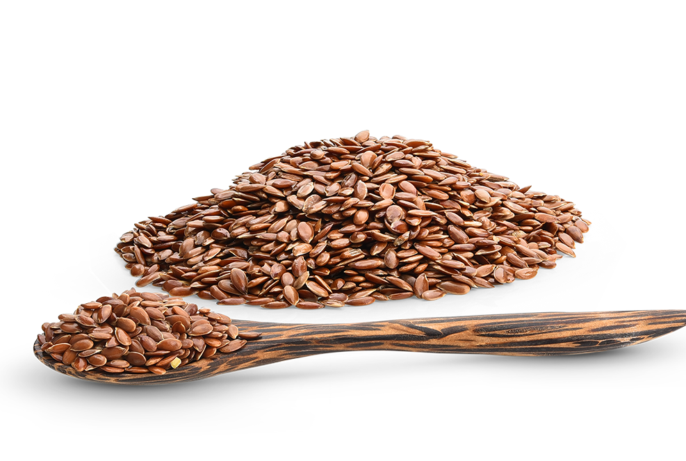 Seeds