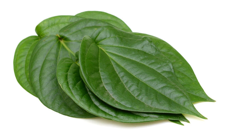 Paan Leaves (8/10 Leaves)

800pcs in box