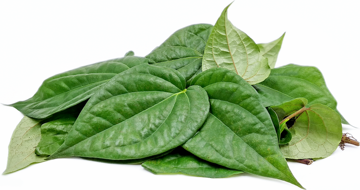 Paan Leaves (8/10 Leaves)

800pcs in box